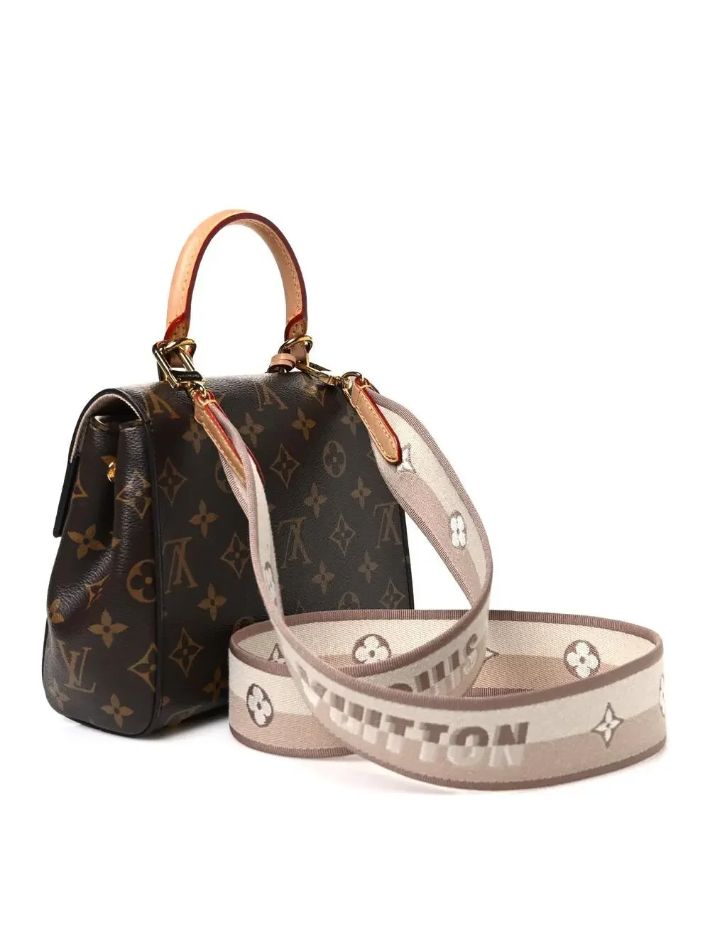 Louis Vuitton Mini Cluny #335176L19B